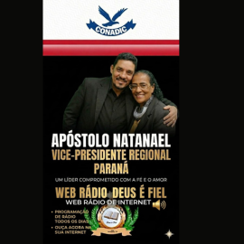 presidente e vice presidente
